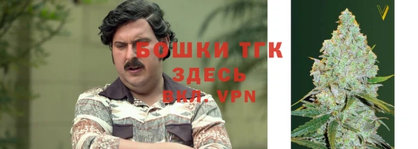 прущий лед Богданович