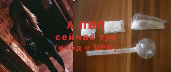 прущий лед Богданович