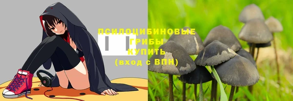 MDMA Богородск