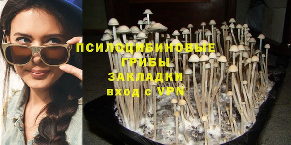 прущий лед Богданович