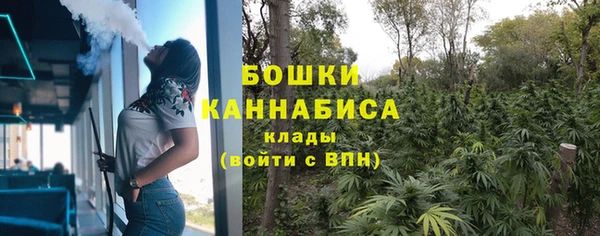прущий лед Богданович