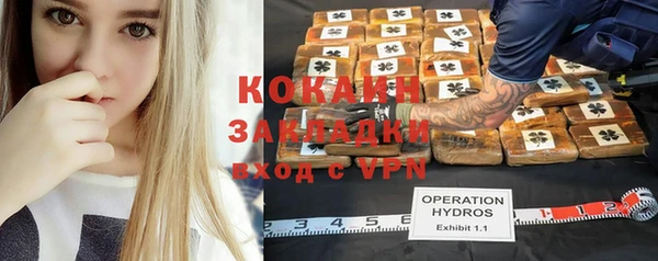 дживик Балахна
