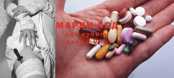 прущий лед Богданович