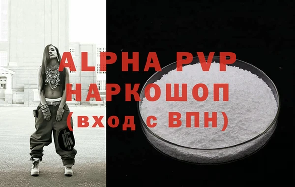 прущий лед Богданович