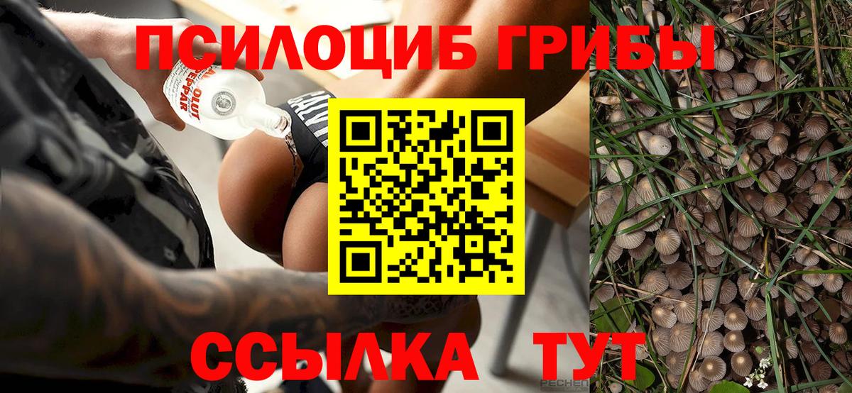 Лыткарино  Гашиш  Вход с VPN  COCAIN  МЕФ   МАРИХУАНА 