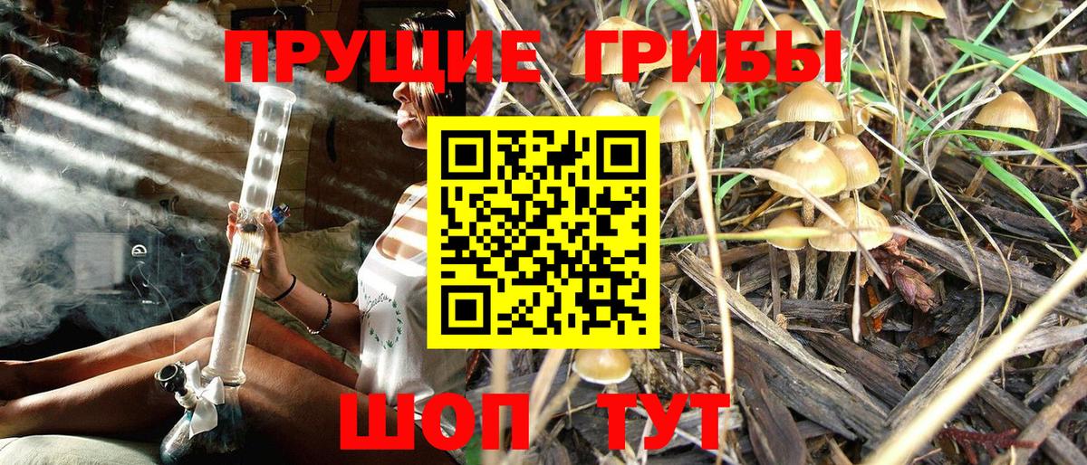 Лыткарино  Галлюциногенные грибы Cubensis  где купить наркоту  Вход с VPN 